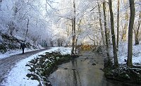 Ciclabile della Quisa in veste invernale il giorno di S. Stefano 2008...uno spettacolo della natura! - FOTOGALLERY